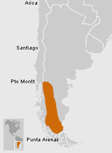 Mapa de ubicación