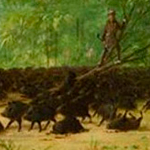 George Catlin: pinturas de Sudamérica