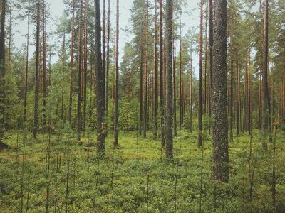 Visita guiada esta semana