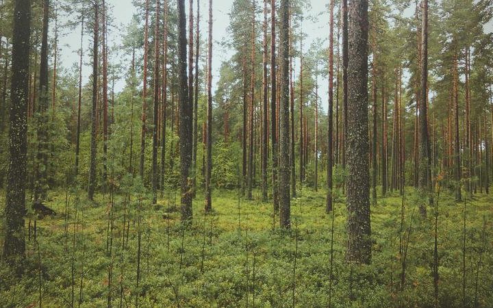 Visita guiada esta semana