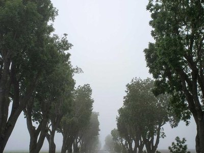 Charla de arte precolombino