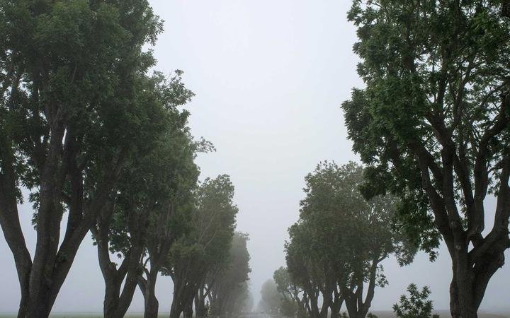 Charla de arte precolombino